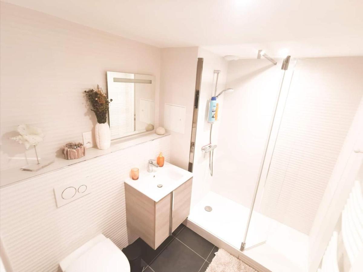 Appartement Cosy En Hypercentre - Le Petit Jules Dijon Zewnętrze zdjęcie
